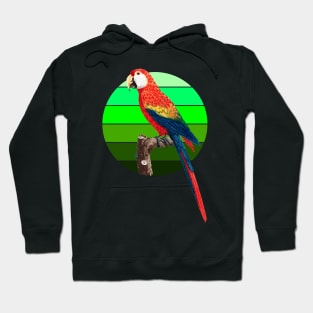 Ara Canga parrot retro sunset Hoodie